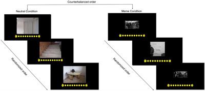 Exposure to Depression Memes on Social Media Increases Depressive Mood and It Is Moderated by Self-Regulation: Evidence From Self-Report and Resting EEG Assessments